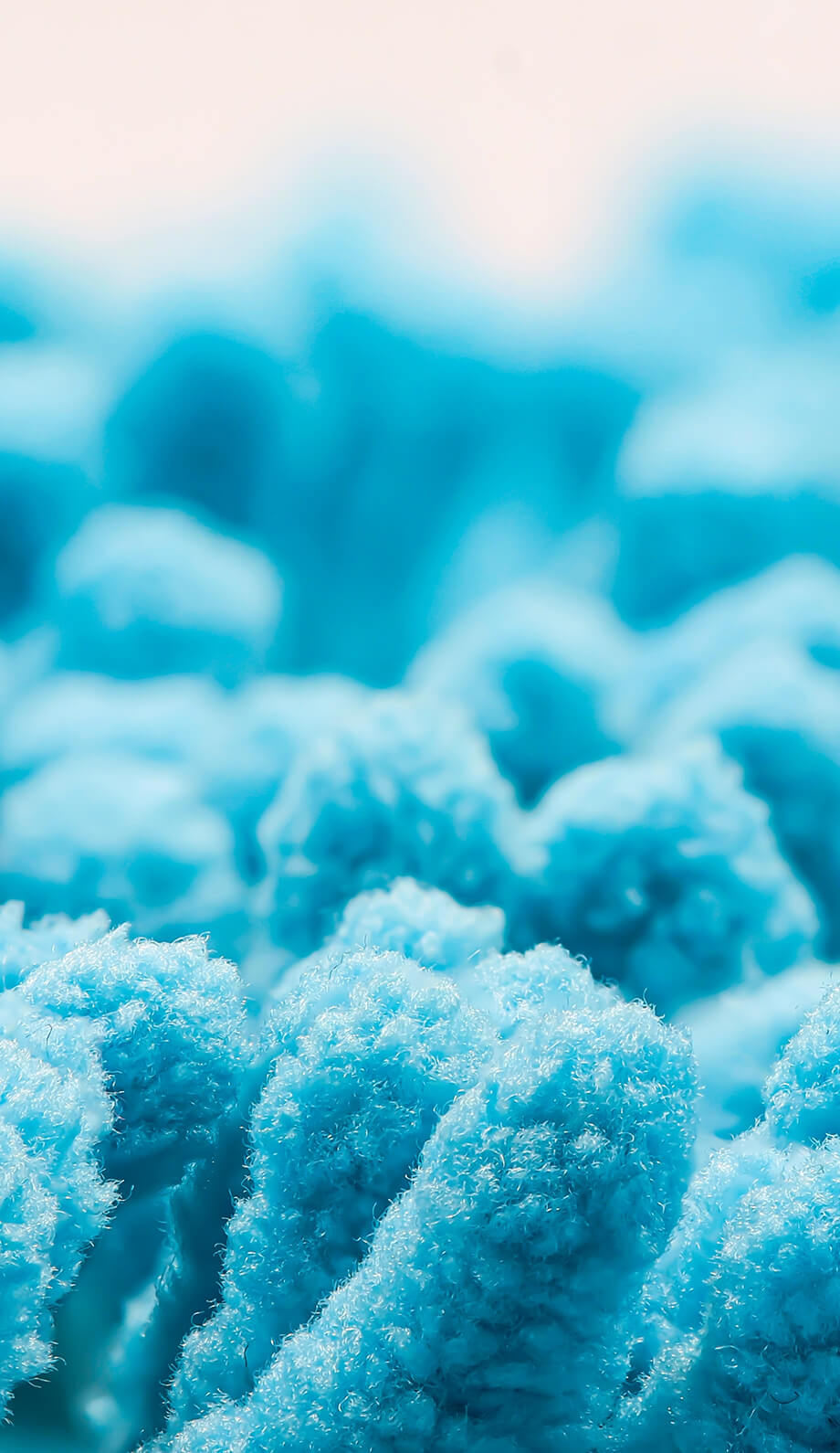 Analyse du microbiome